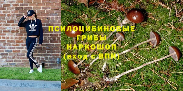 метадон Алексин