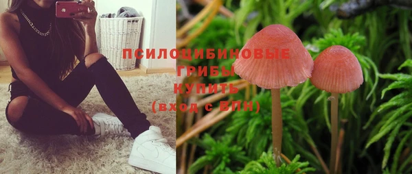 СК Алзамай