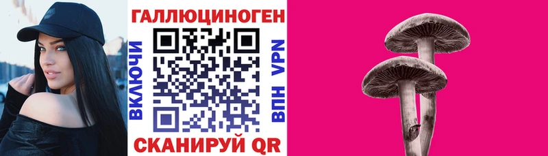 mega зеркало  Ардон  Псилоцибиновые грибы Psilocybe 